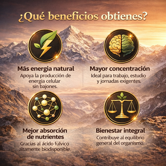 Shilajit del Himalaya Original – Energía real y enfoque diario sin café ni estimulantes