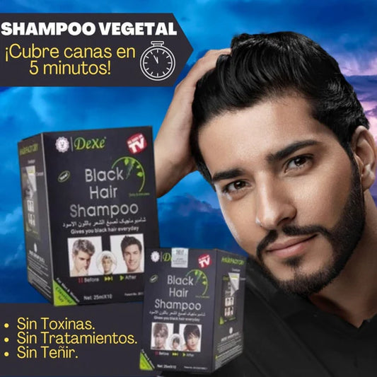 Shampoo Pinta Canas Negro - Caja 25ml X10 Sobres